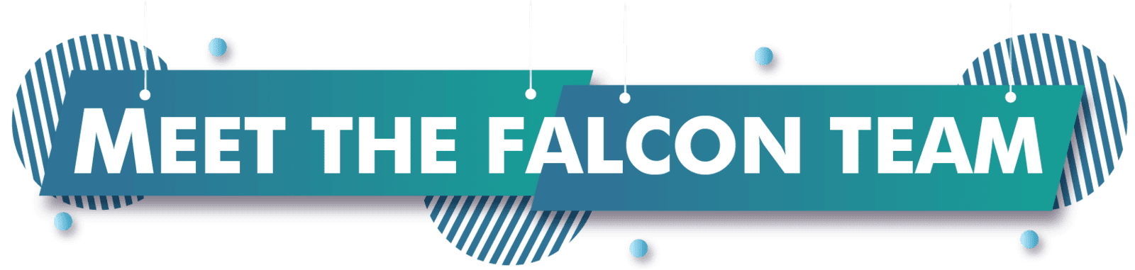 Meet The Falcon Team